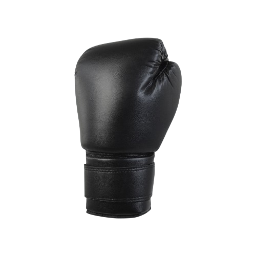 Recruit Black Boxing Gloves